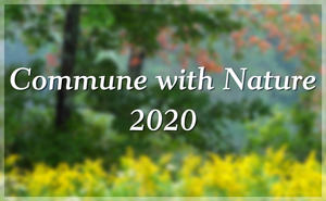 Commune with Nature 2020
