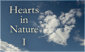2021 Hearts In Nature Gallery I