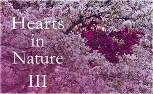Hearts in Nature Gallery III