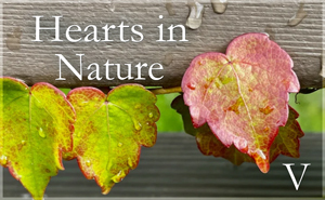 Hearts in Nature Gallery V