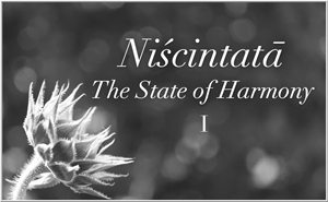 Niscintata - The State of Harmony I