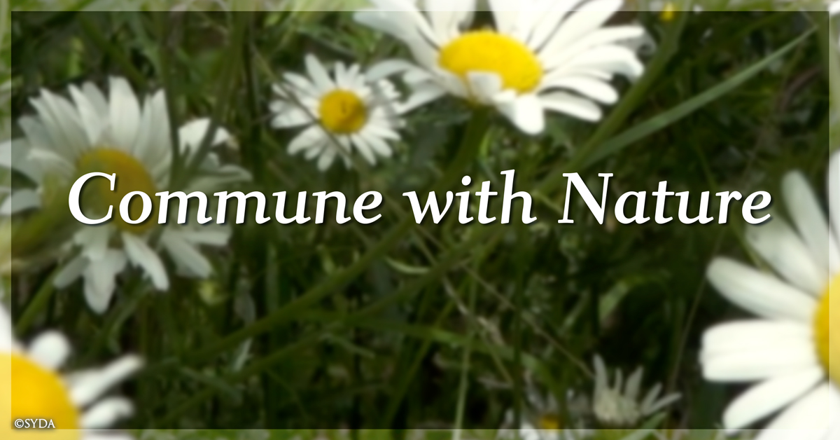 2021 Commune with Nature