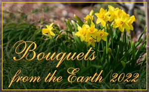 Bouquets from the Earth