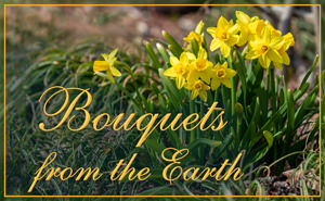Bouquets from the Earth