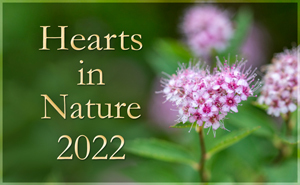 Hearts in Nature