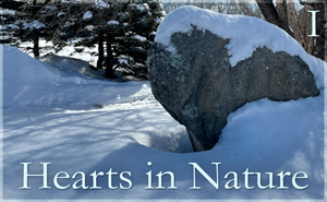 2022 Hearts In Nature Gallery I