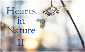 2022 Hearts In Nature Gallery II