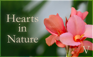 Hearts in Nature Gallery V