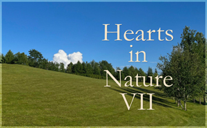 Hearts in Nature Gallery VII