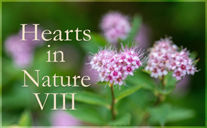 Hearts in Nature Gallery VIII