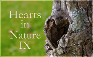 Hearts in Nature Gallery IX