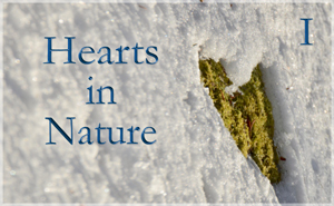 Hearts In Nature Gallery I