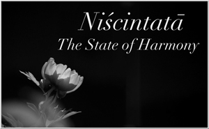 Niscintata - The State of Harmony