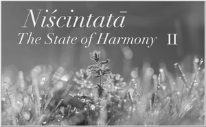 Niscintata - The State of Harmony II