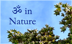 Aum in Nature - II