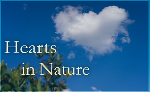 Hearts in Nature