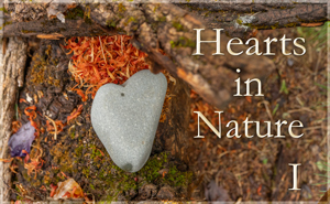 Hearts In Nature Gallery I