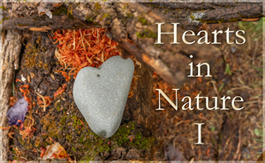 Hearts In Nature Gallery I