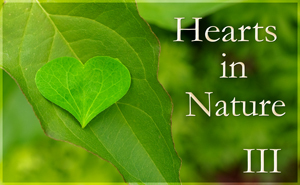 Hearts In Nature Gallery III