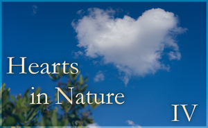 Hearts in Nature Gallery IV