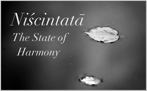 Niscintata - The State of Harmony