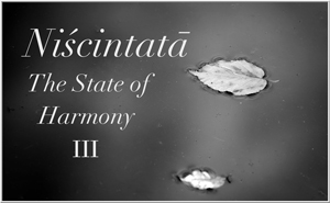 Niscintata - The State of Harmony III