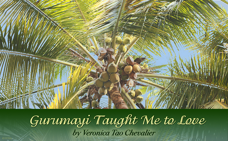 Gurumayi Taught Me to Love by Veronica Tao Chevalier