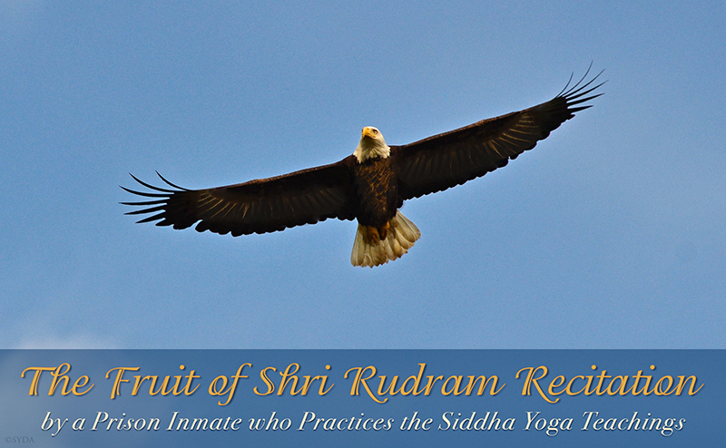 The Fruit of Shri Rudram Recitation