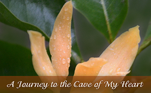 A Journey to the Cave of My Heart