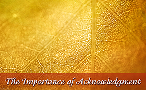 Importance of Acknowledgement