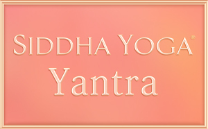 Siddha Yoga Yantra