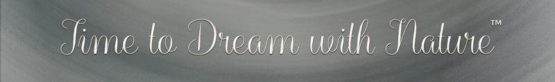 Time to Dream with Nature