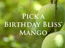 Birthday Bliss Mangos