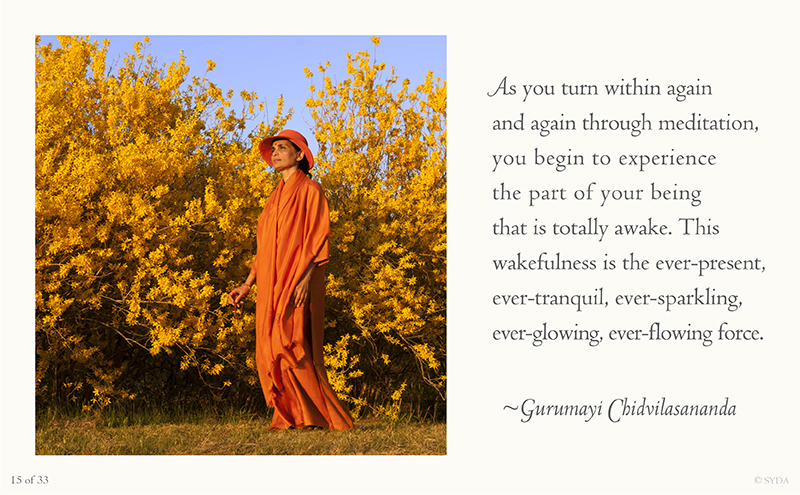 Gurumayi's Darshan and Wisdom - 15