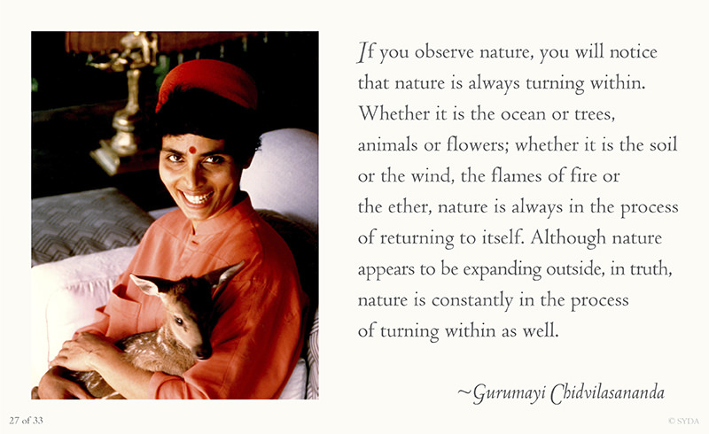 Gurumayi's Darshan and Wisdom - 27