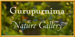 Gurpurnima Nature Gallery