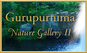 Gurupurnima Nature Gallery - Part II