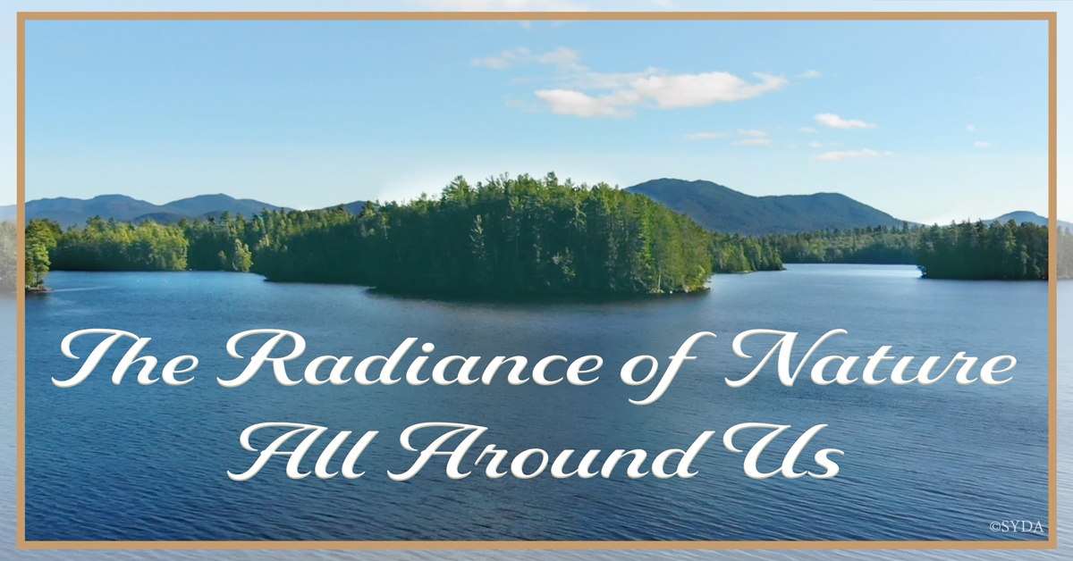 The Radiance of Nature All Around Us