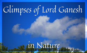 Lord Ganesh in Nature