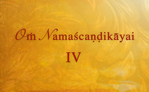 Navaratri Gallery IV