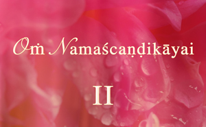 Om Namashchandikayai IV