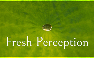 Fresh Perception