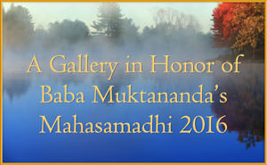 A Gallery in Honor of Baba Muktananda’s Mahasamadhi 2016