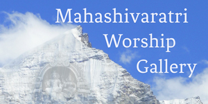 Mahashivaratri Worship Gallery