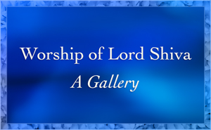 Worship Lord Shiva Gallery