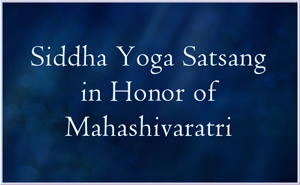 Satsang on Mahashivaratri