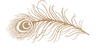 peacock motif