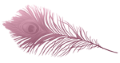 peacock motif