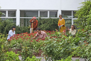 Serving at Shree Muktananda Ashram - Gardens