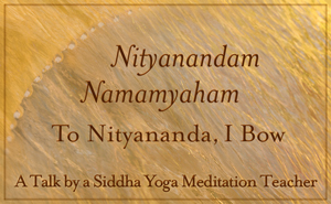 Bhagavan Nityananda Punyatithi Satsang Talk, 2015